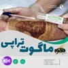 فیلم آموزشی نحوه ماگوت تراپی زخم