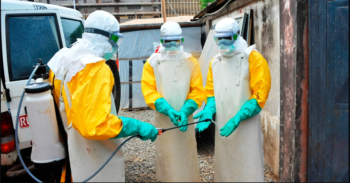 ابولا چه بود و از کجا آمد؟!