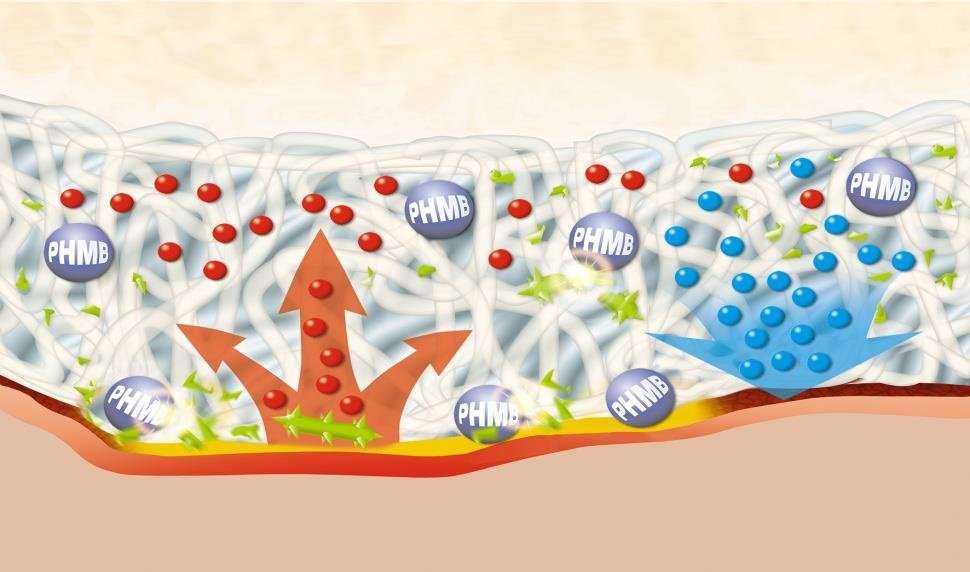 پانسمان ضد میکروبی هیدروبالانس